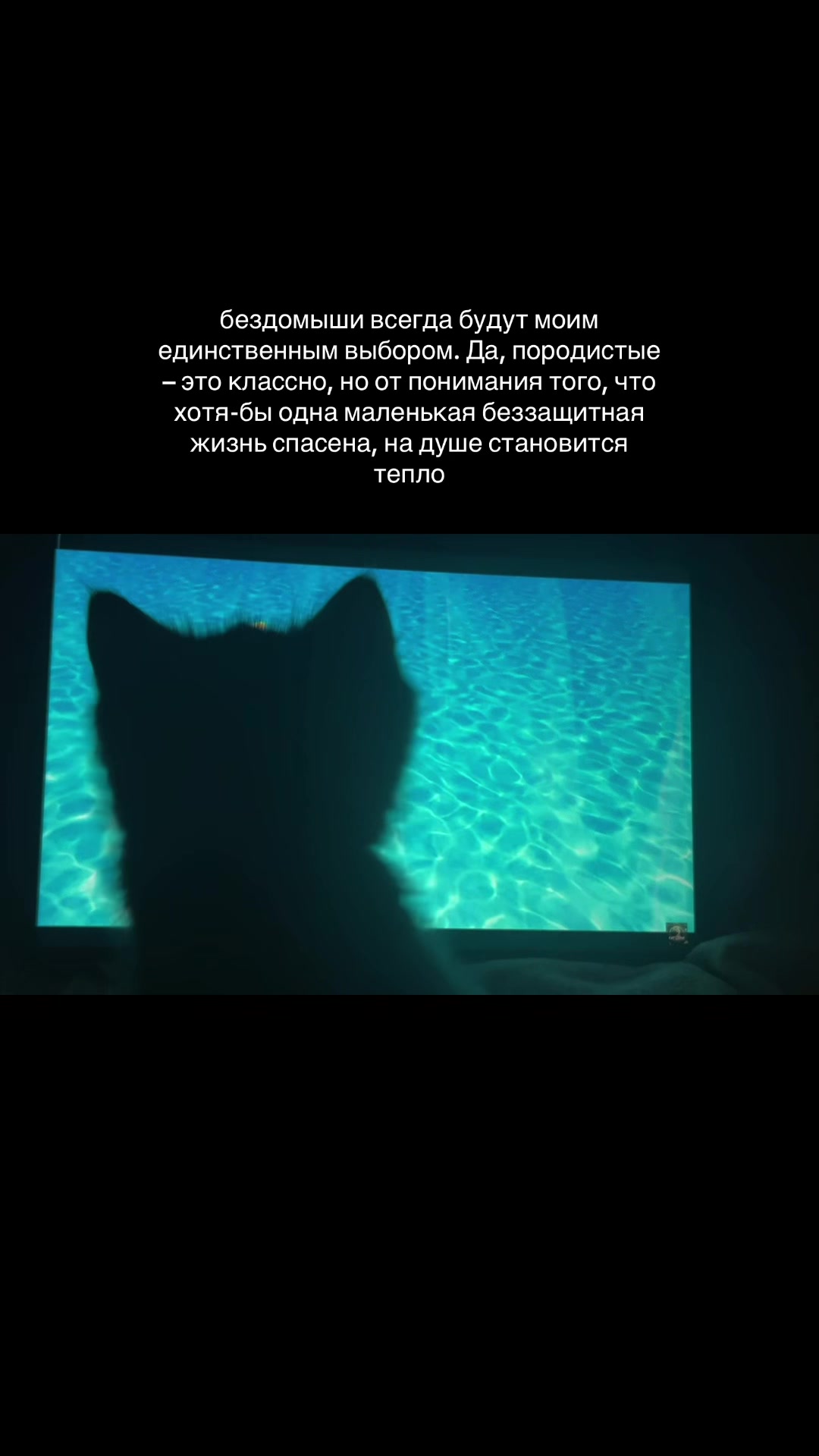 @настюша