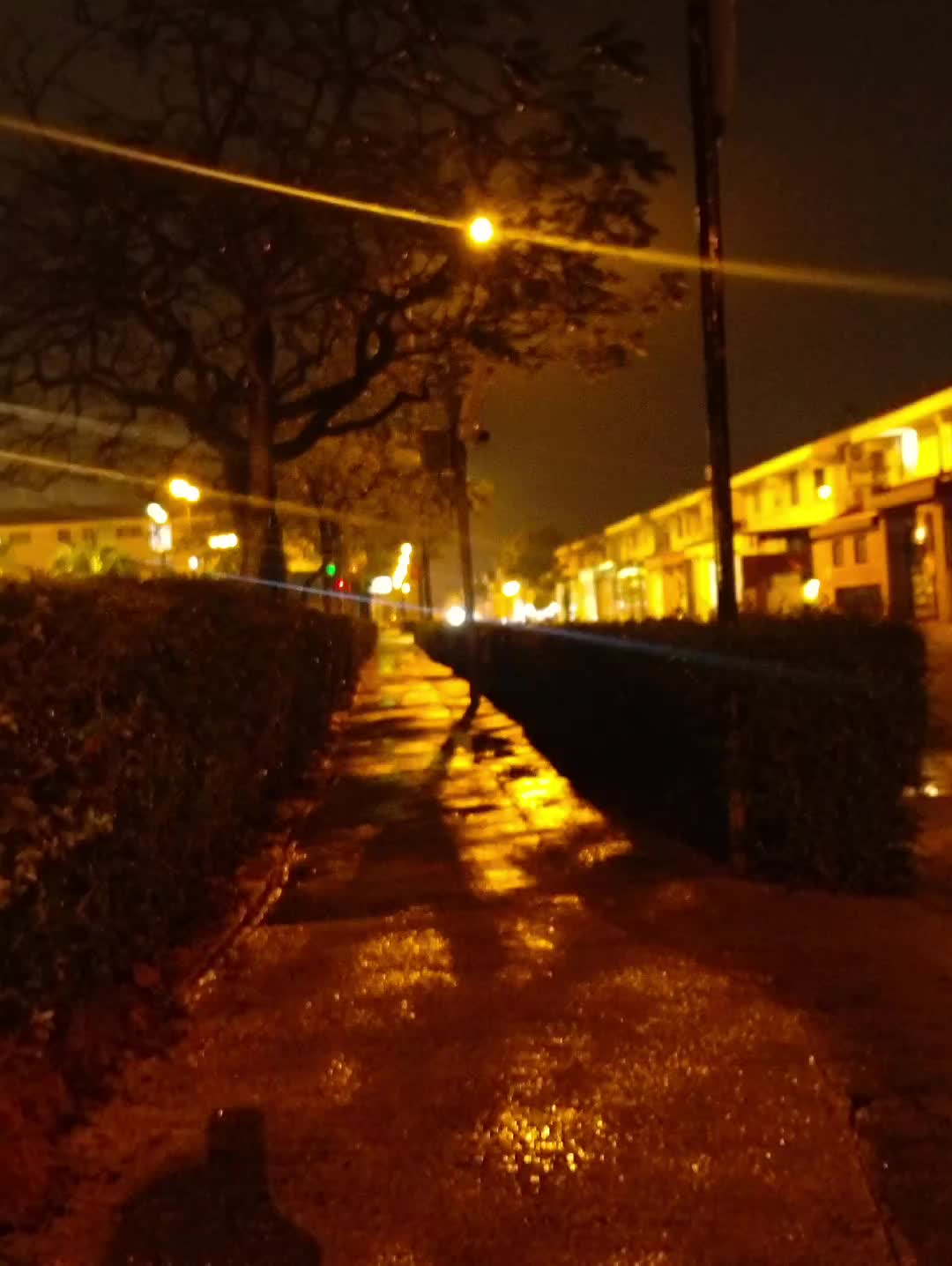@dhesri73