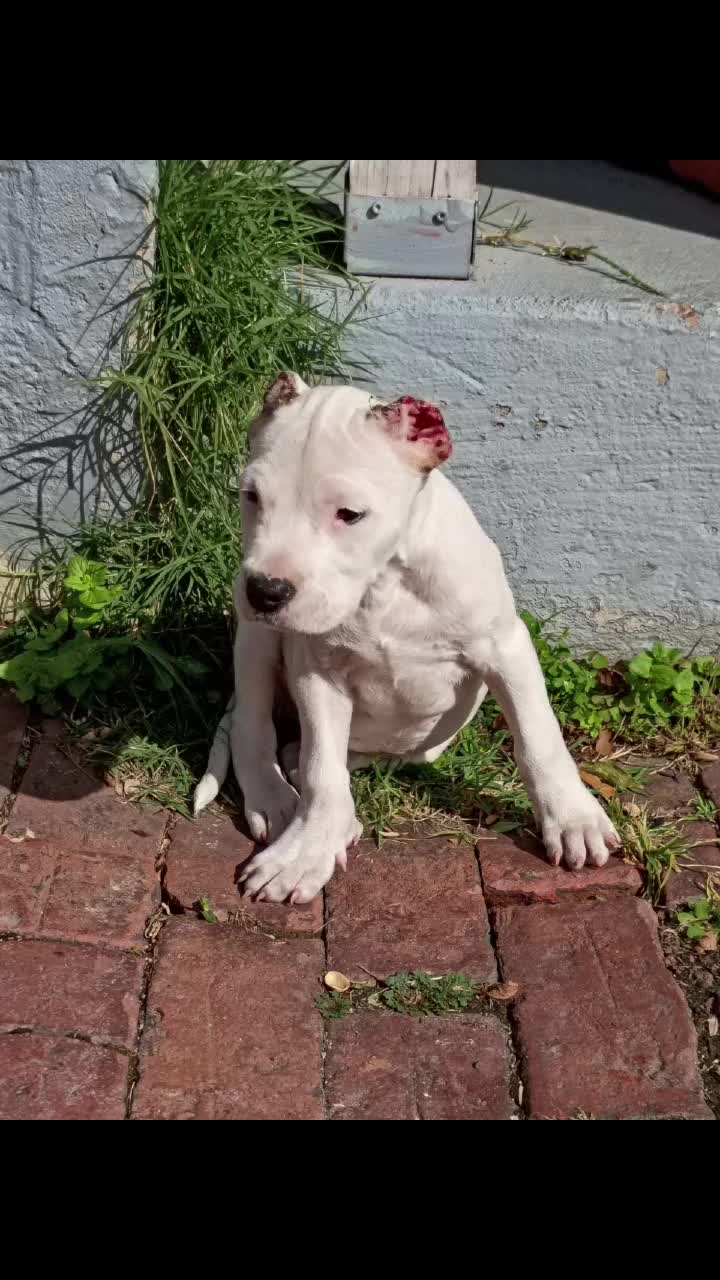 @🐾E-one 🌻Get🐕It♉ Done🪴