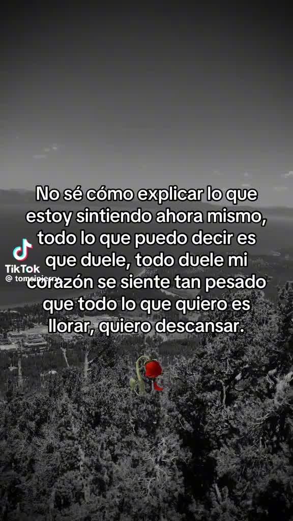 @🐚🐚lizz.rodrguez1