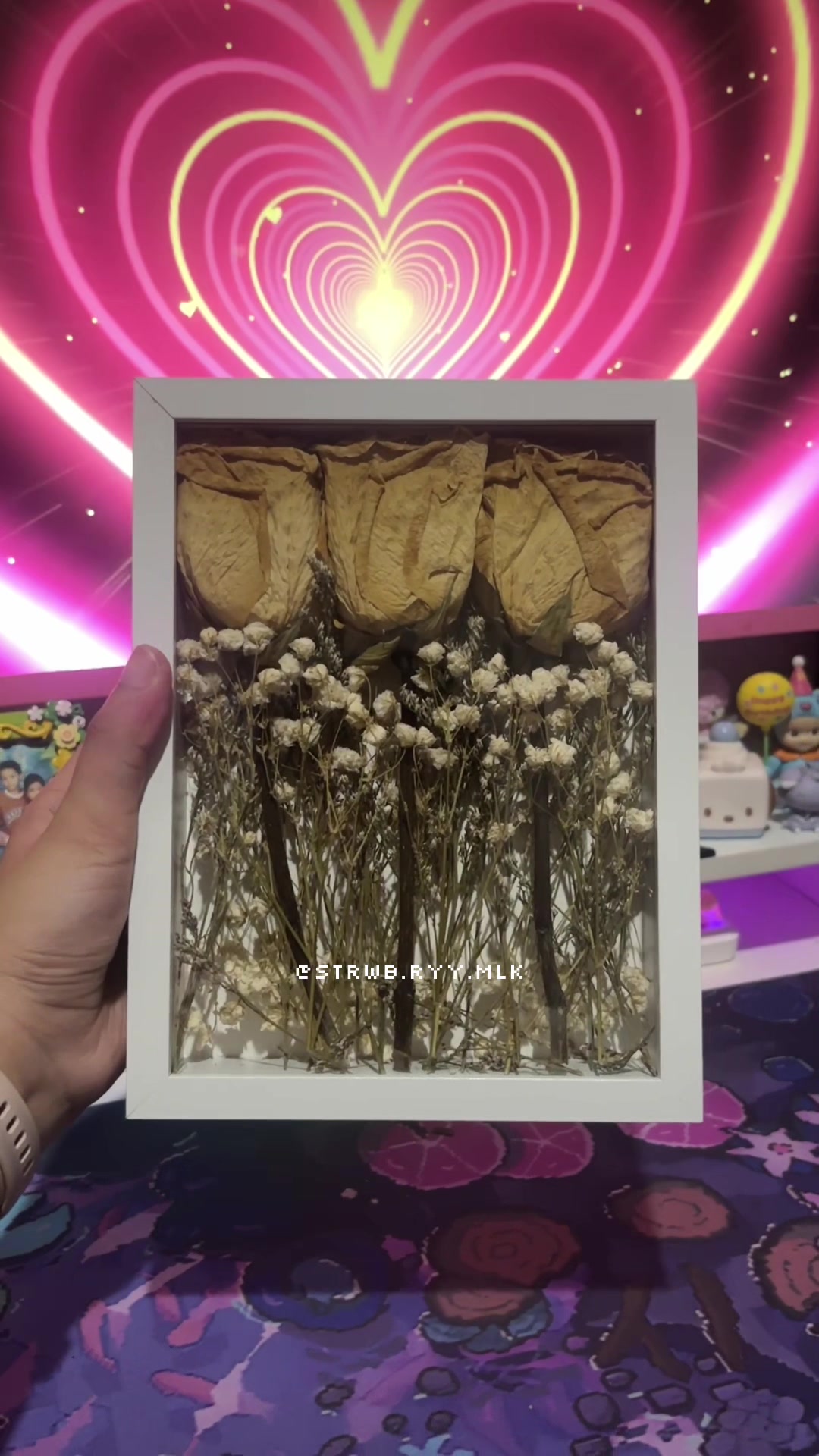 @‣cer ⭑.ᐟ