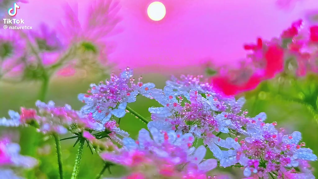 @๐ฟ๐ท๐ง๐ฆฐS+A๐ฉ๐ฆฐ๐ฟ๐ท
