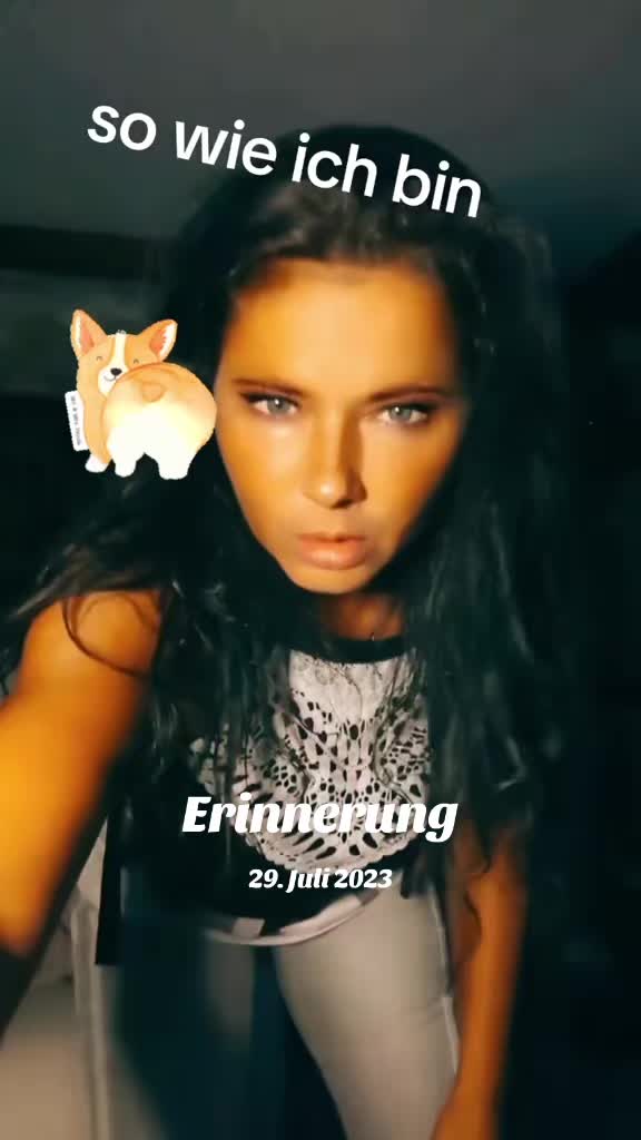 @schildi