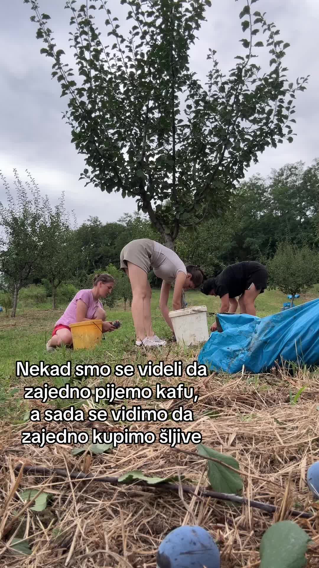 @сандра 🇷🇸