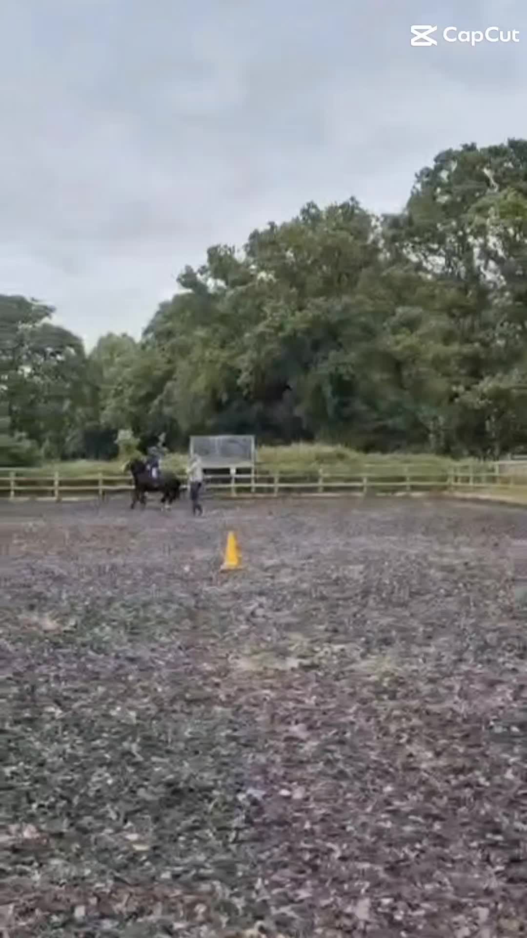 @🐎🩷Alexa and bobby 🩷🐴