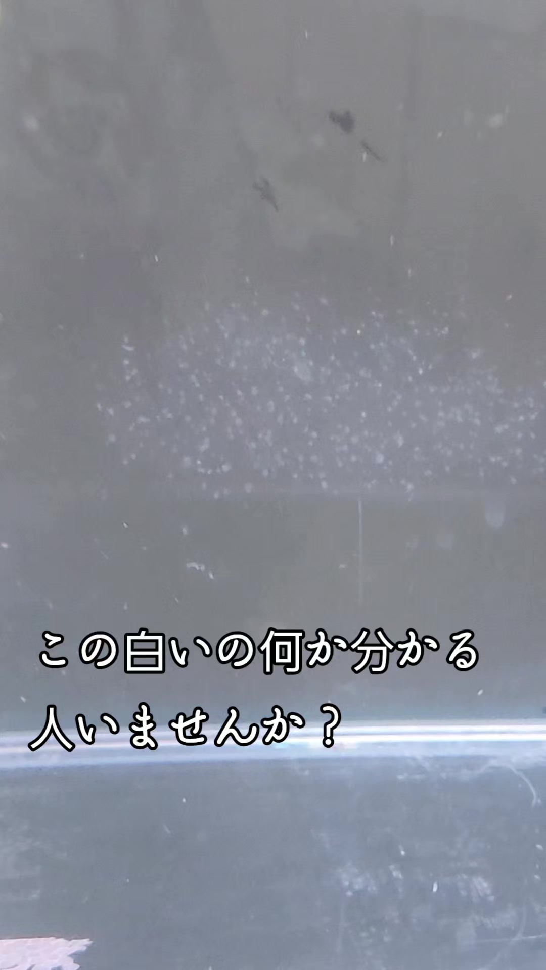 @ゆっこ