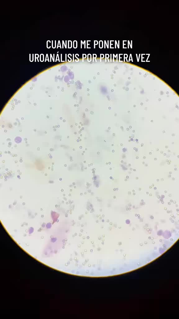@ALab 🔬💉🩸
