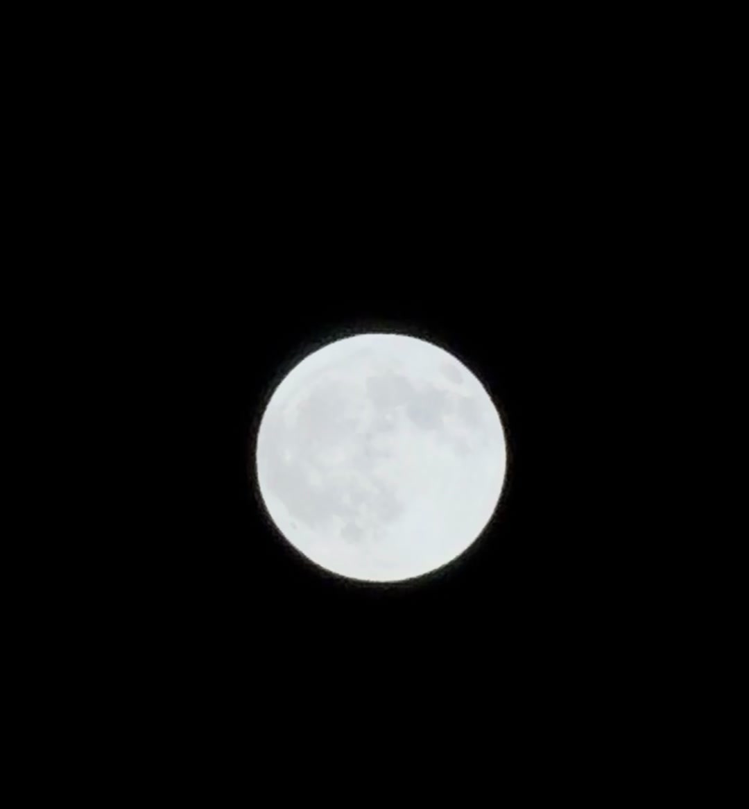 @kuud_1
