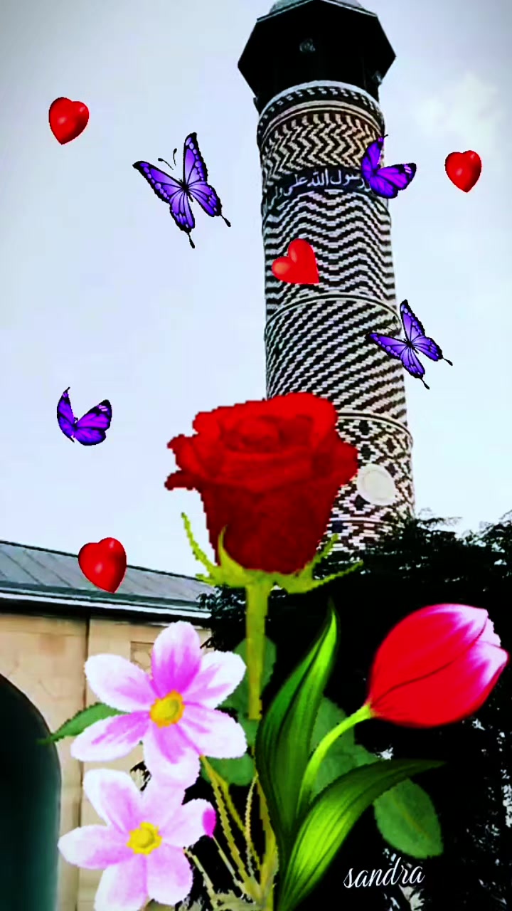 @A..AĞDAMLI⚘🇦🇿