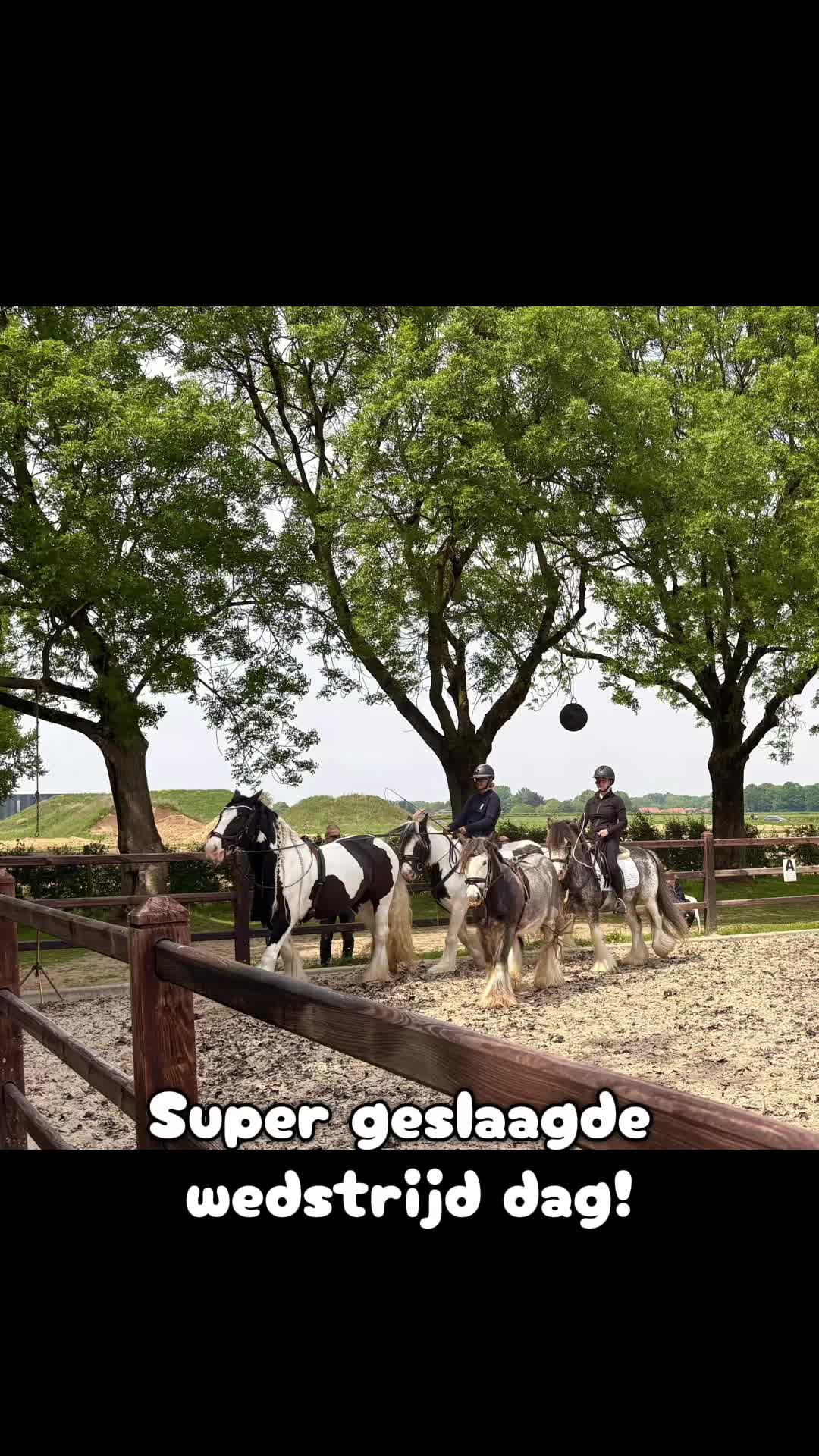 @Syrche Cordewener