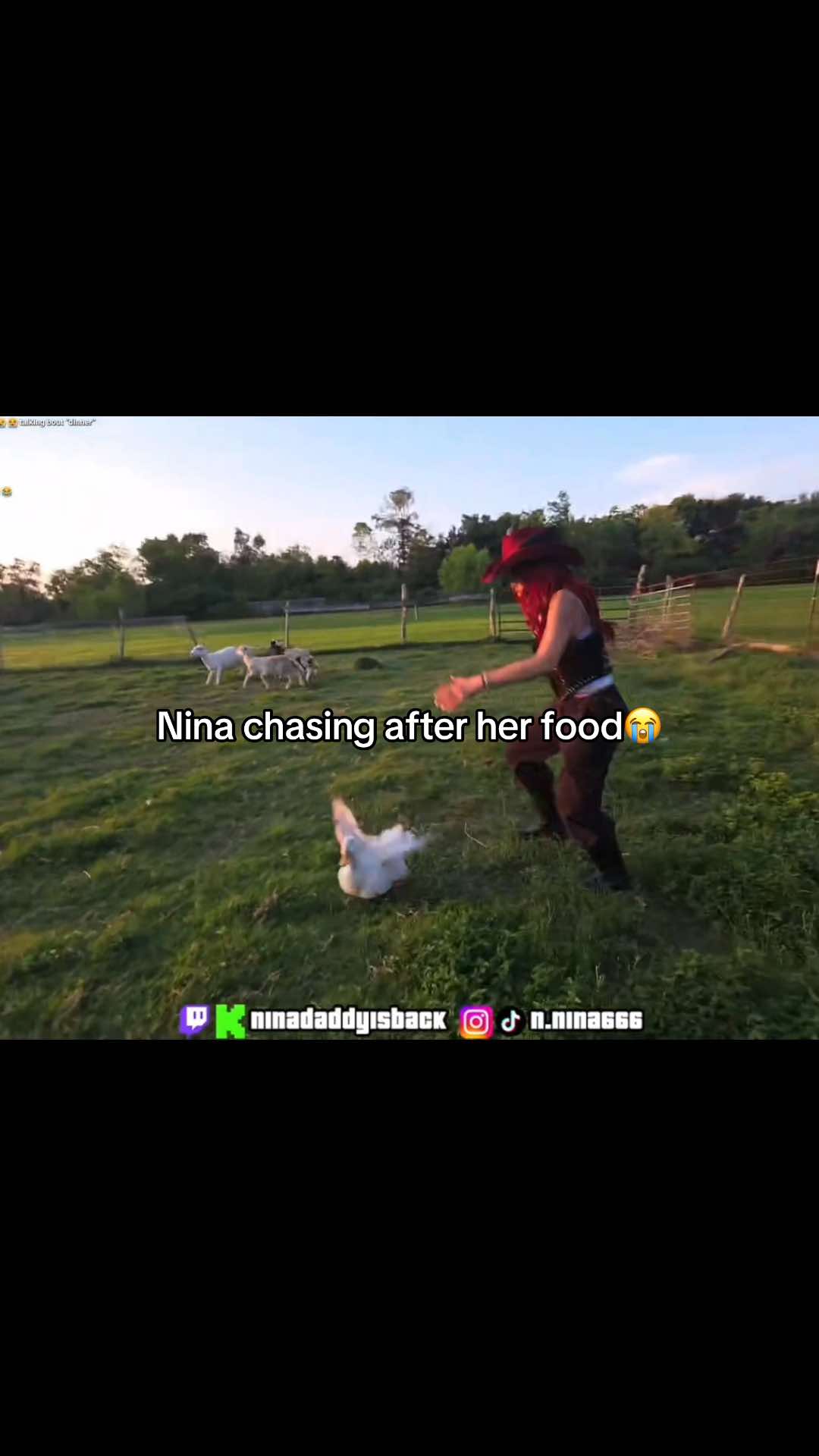 @ninadaddyclips