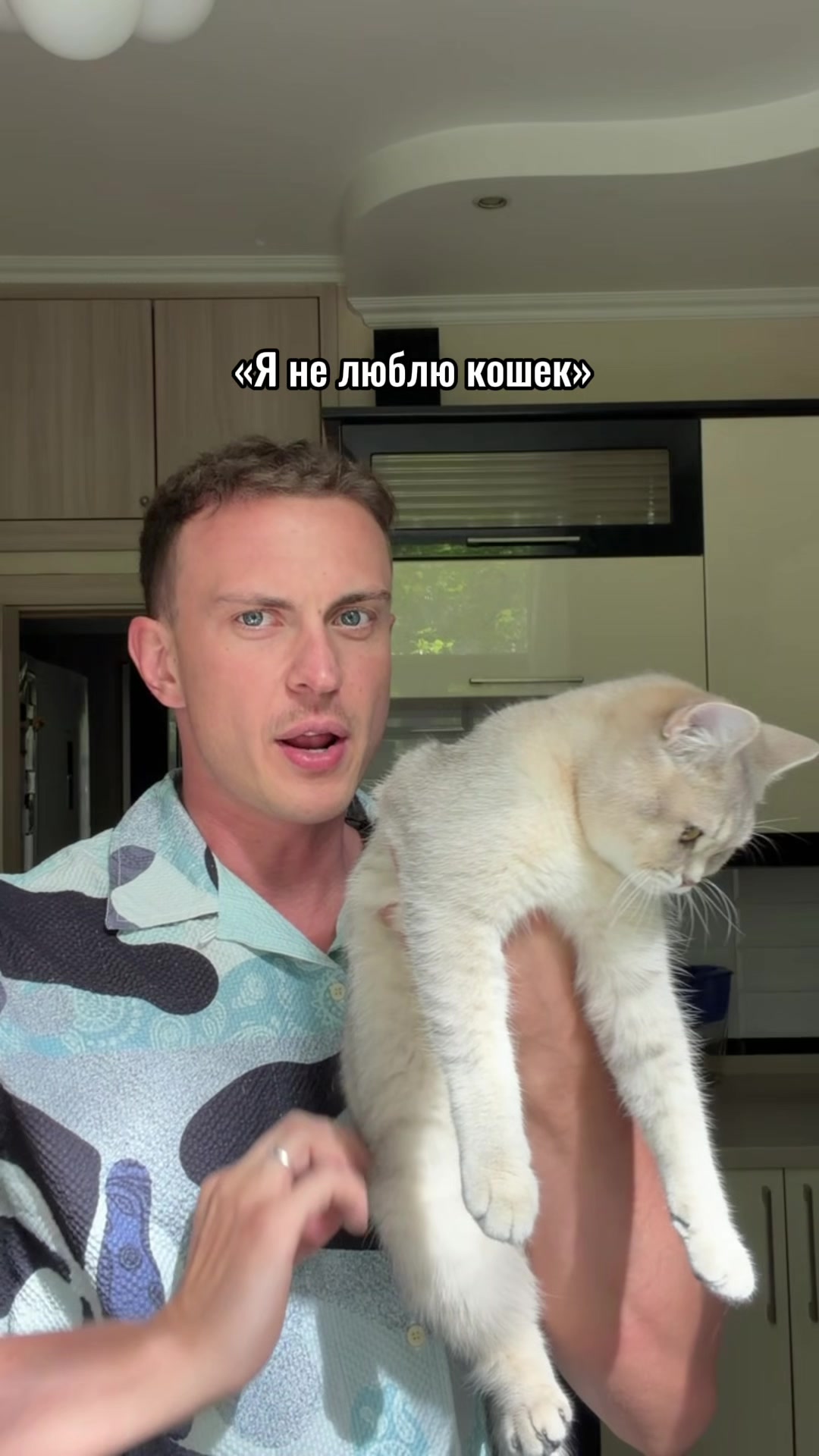 @котопапа