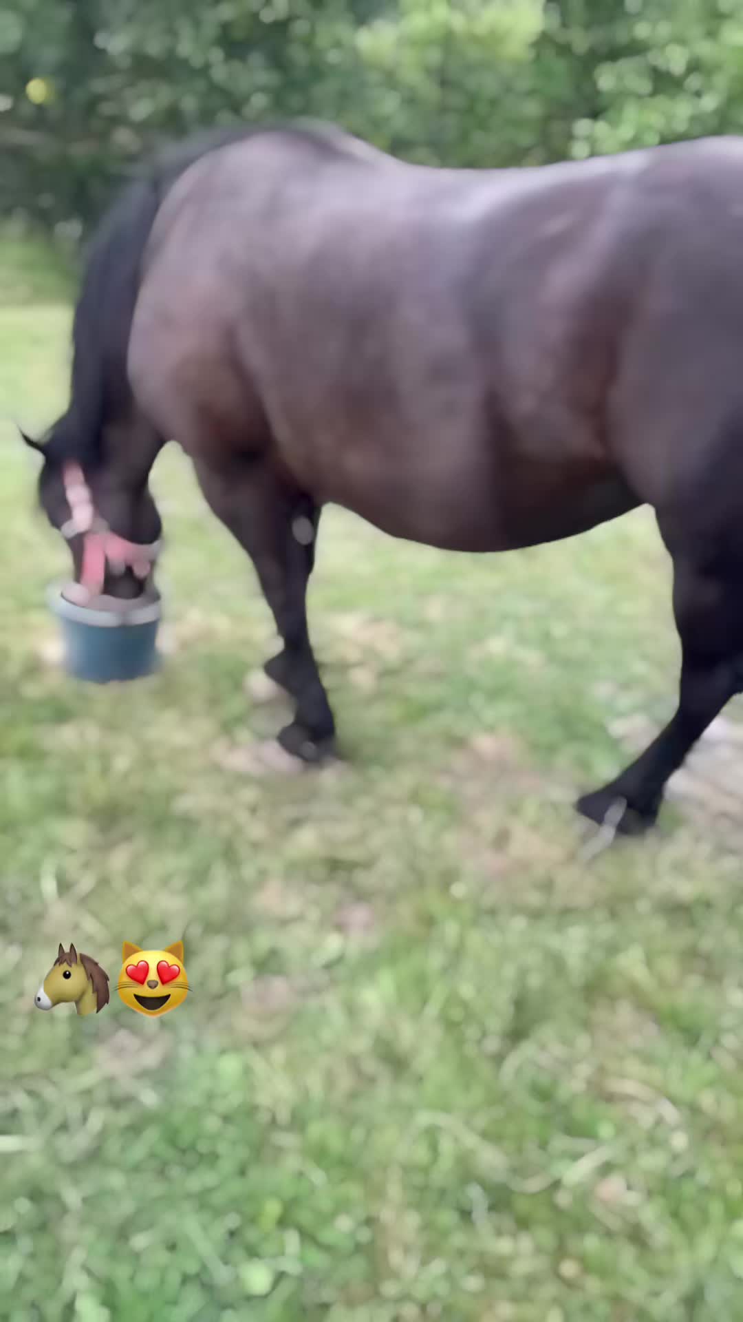 @Простий як 5 копійок😂