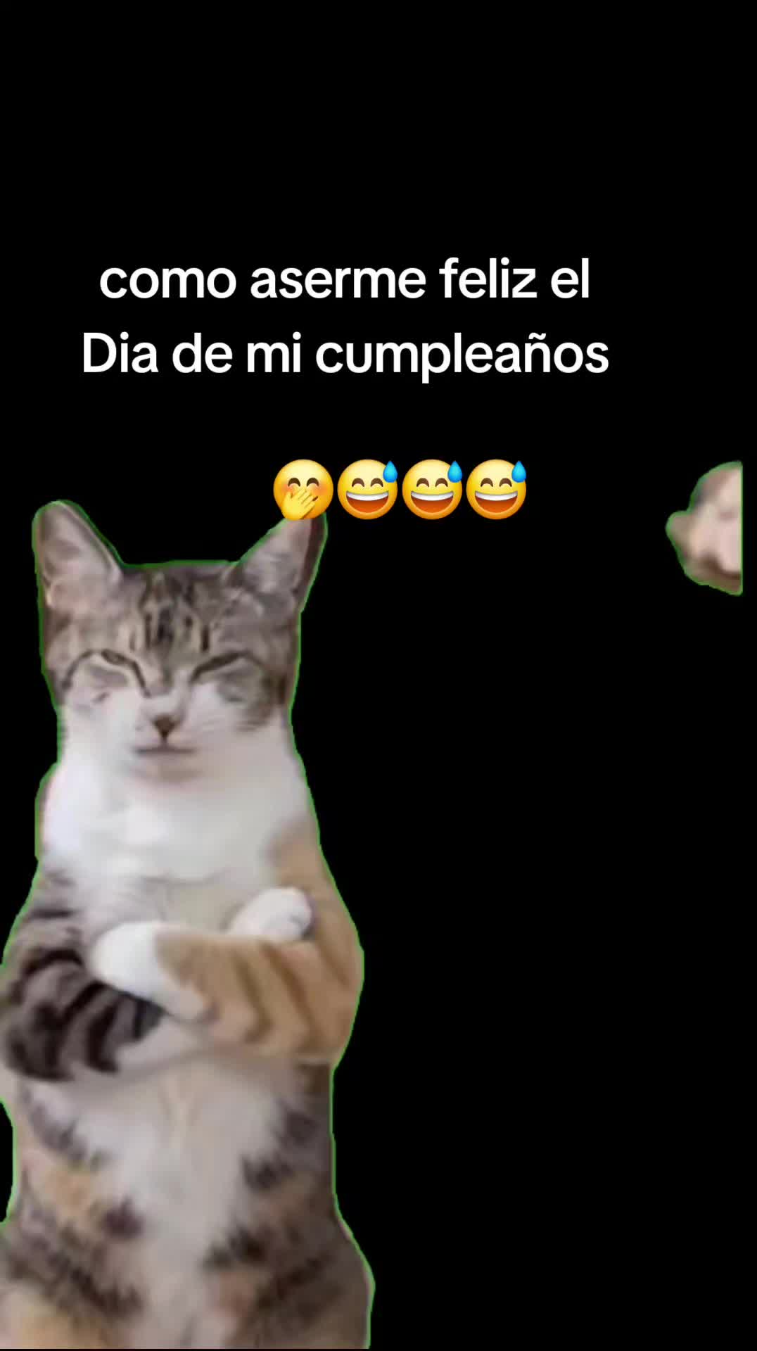 @🇭🇳t&oacute;xica 🇭🇳