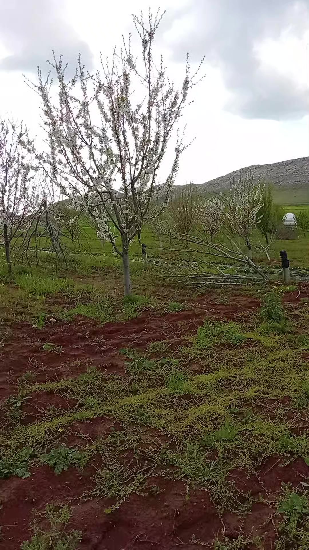 @Ibrahim G&uuml;ltekin3905