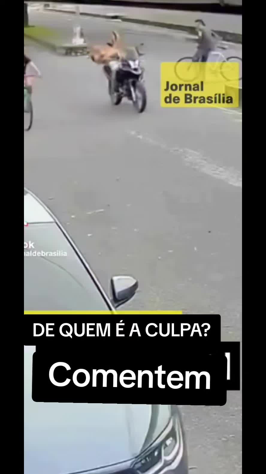 @Dirceu Polo Filho