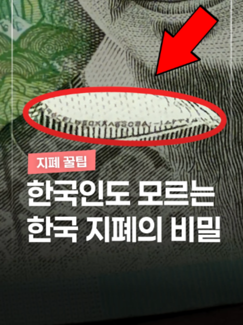 @짤컷