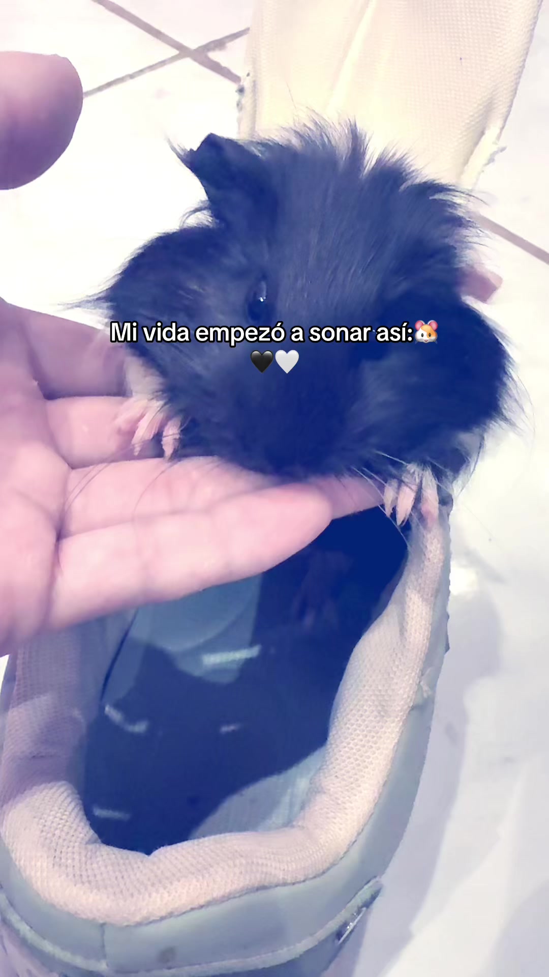 @christian.diaz2004⭐️🖤