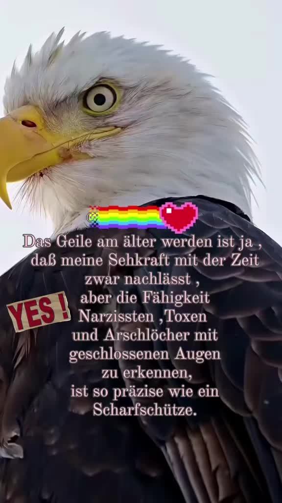 @feuerblau