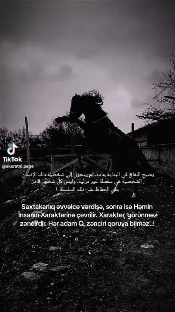 @Sadiq Namazov