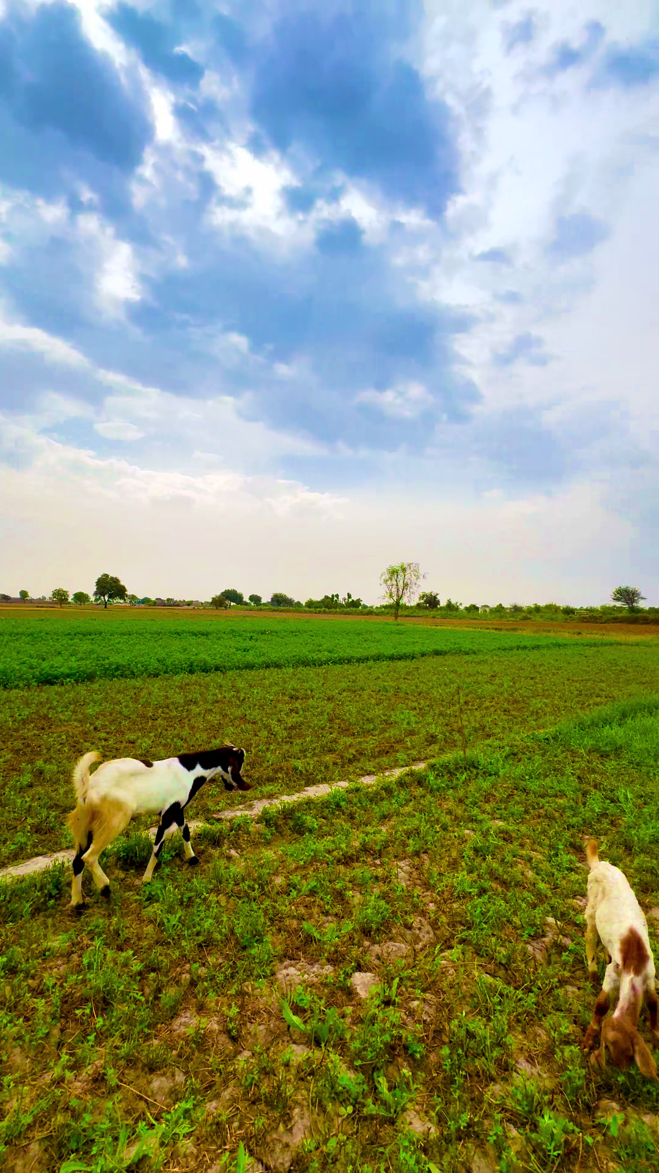 @Mir Hamza Talpur ๐
