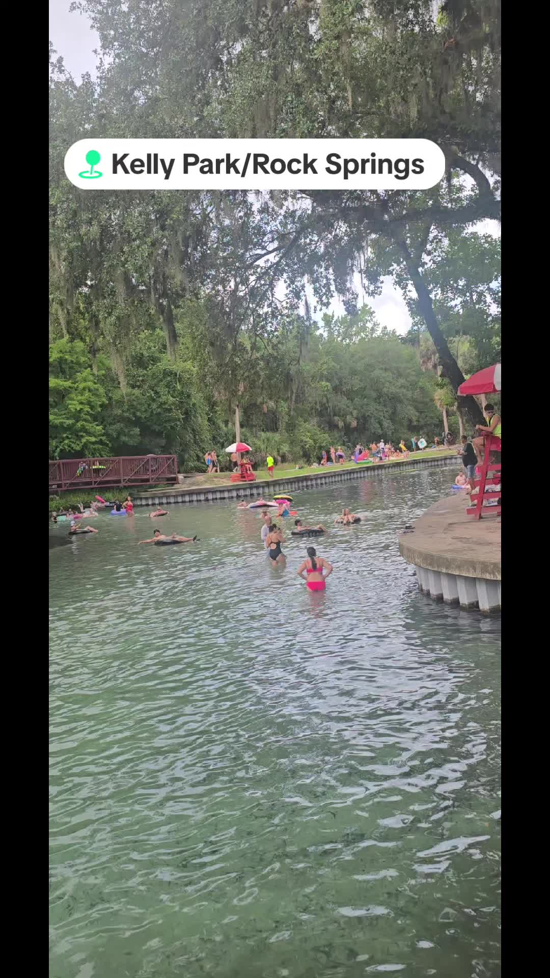 @delfinperez6