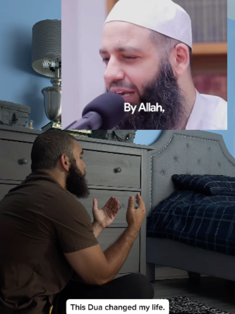 @tazthepali