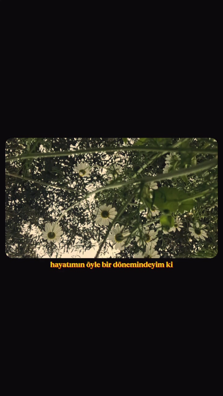 @sultan Şen