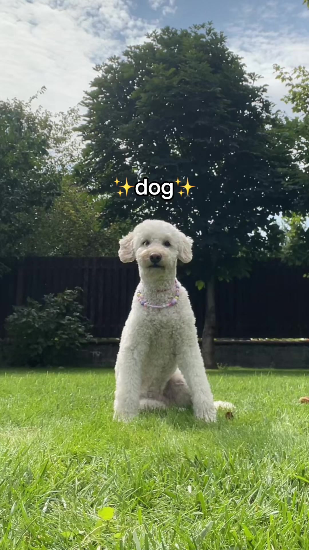 @ℳ𝒶𝓇𝒾𝒶_ℬ𝓊𝓏𝓏