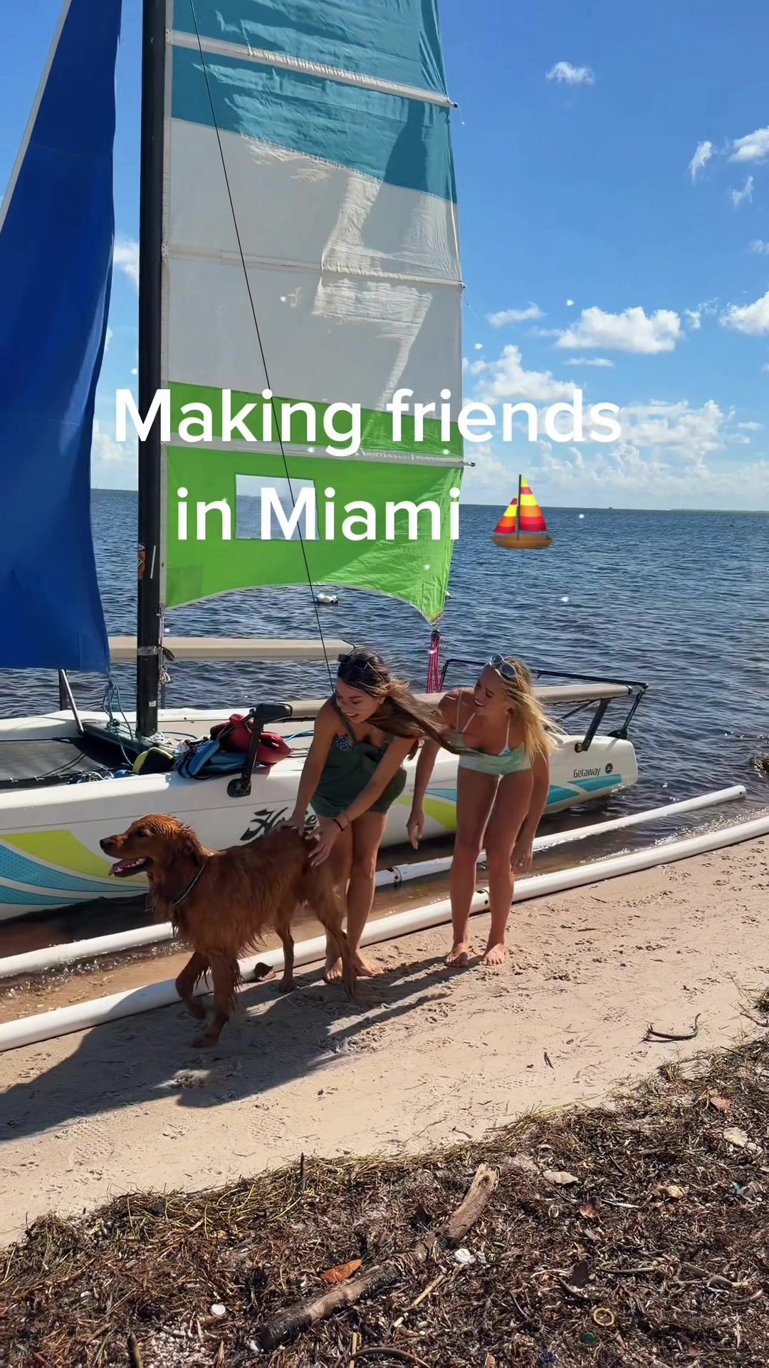 @beachbumblaine