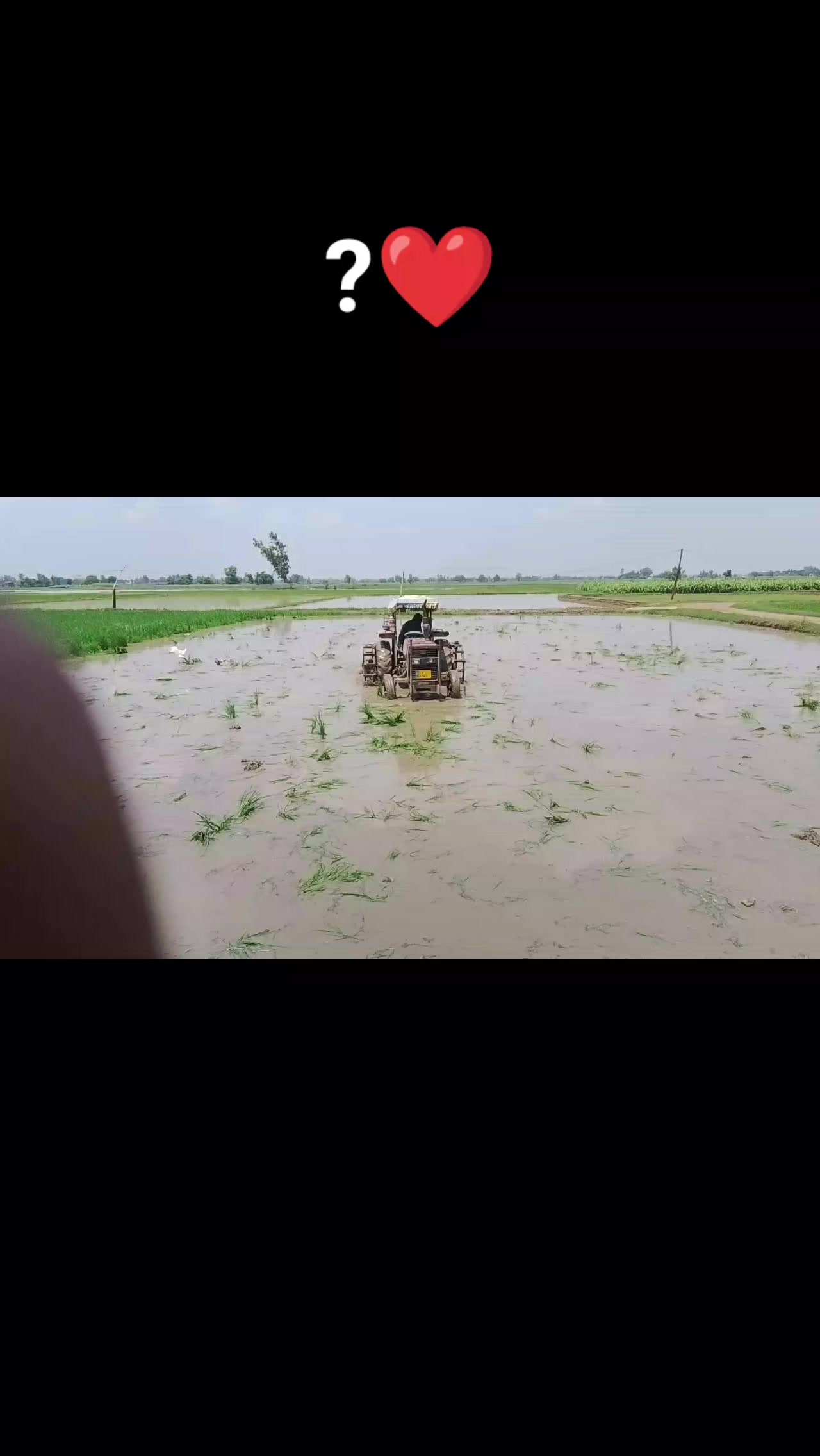 @Tayyab Goraya
