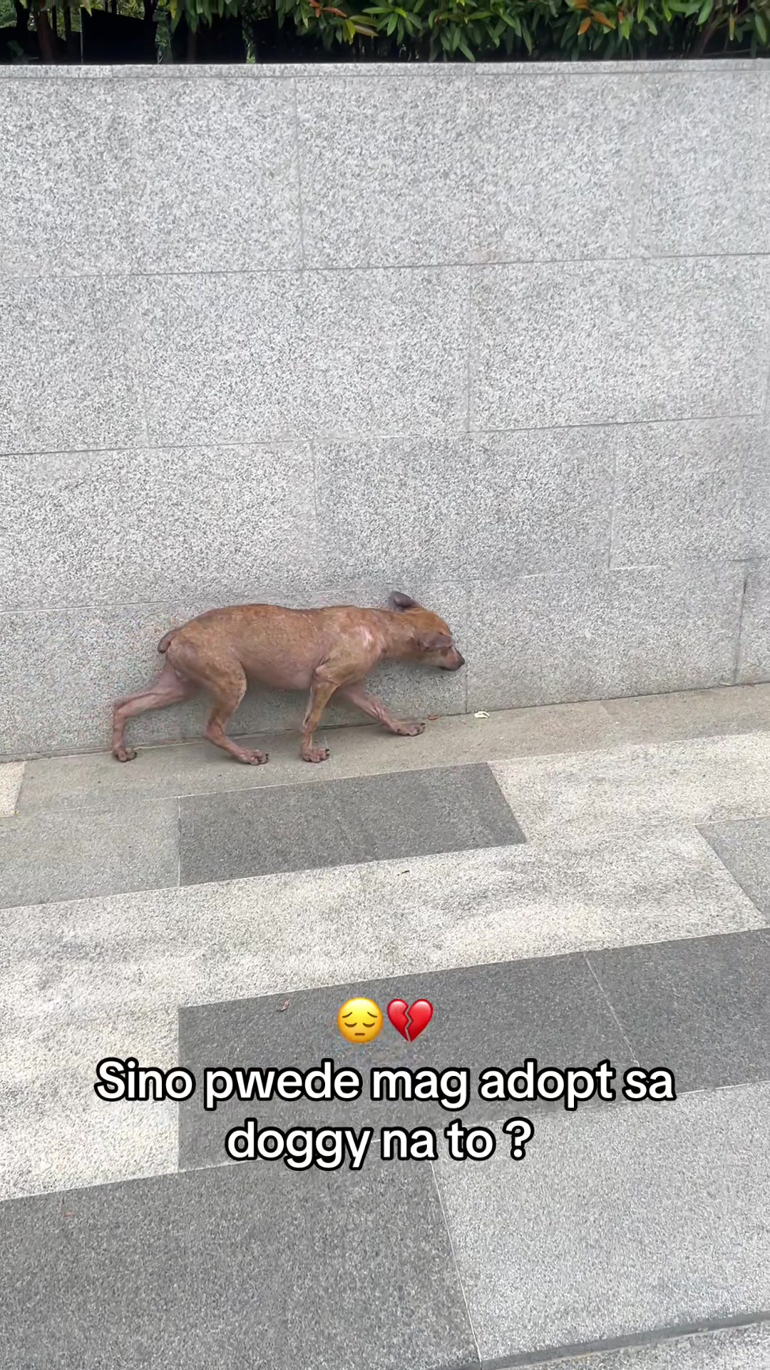 @kimkimᵕ̈