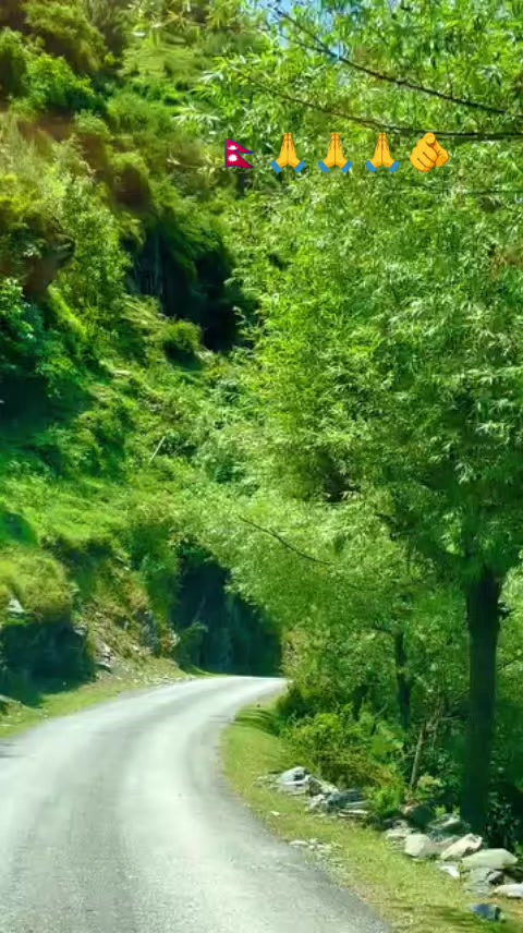 @Rajujii982324