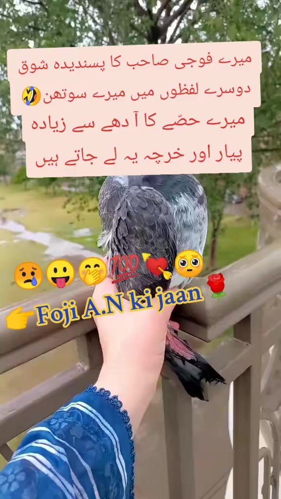 @𝄟❤️⃝Mrs Nawab🤍🌹