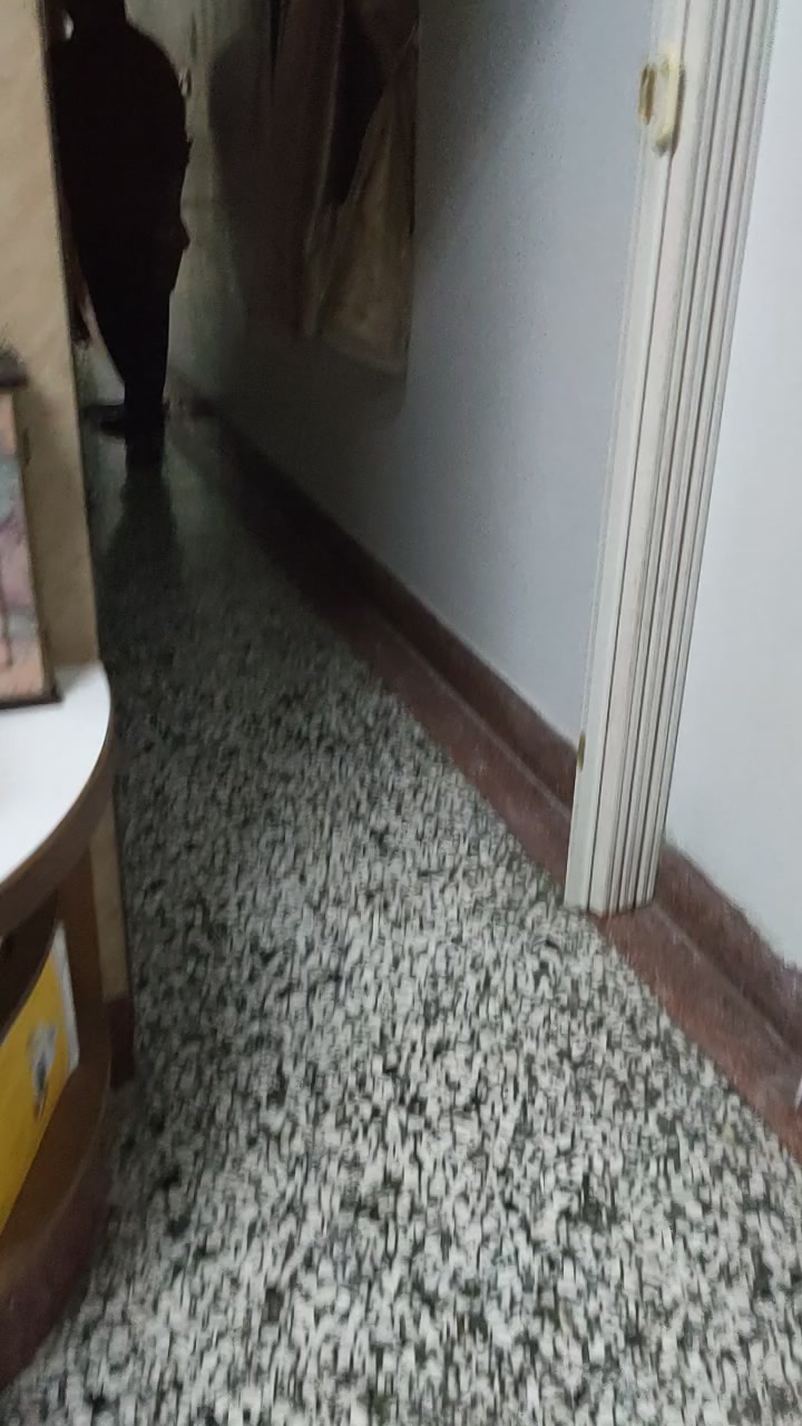 @Bei Bei