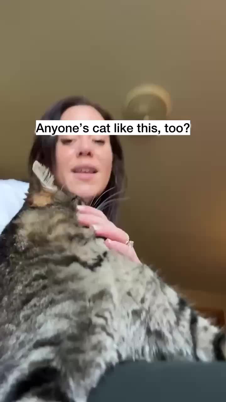 @Chip The Manx