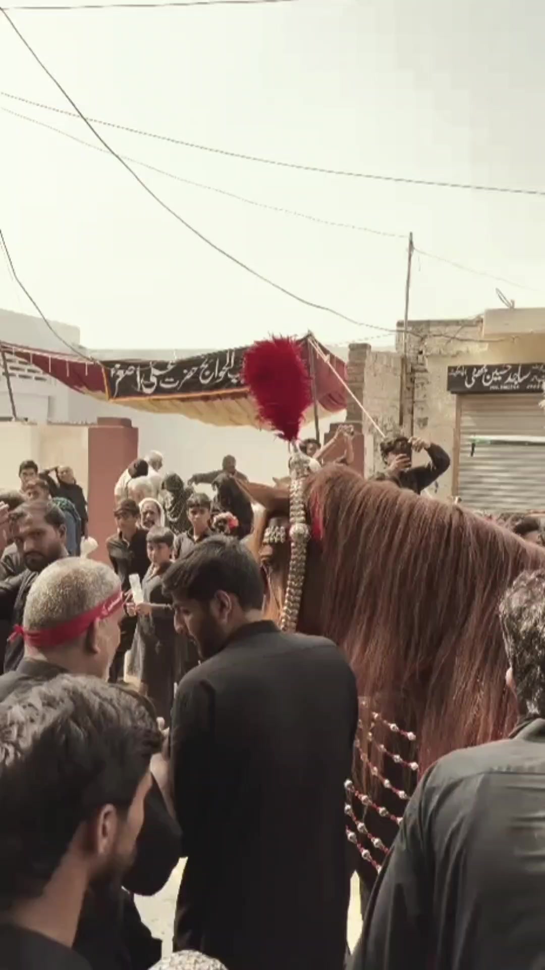 @مرکزی ذوالجناح تلہ گنگ