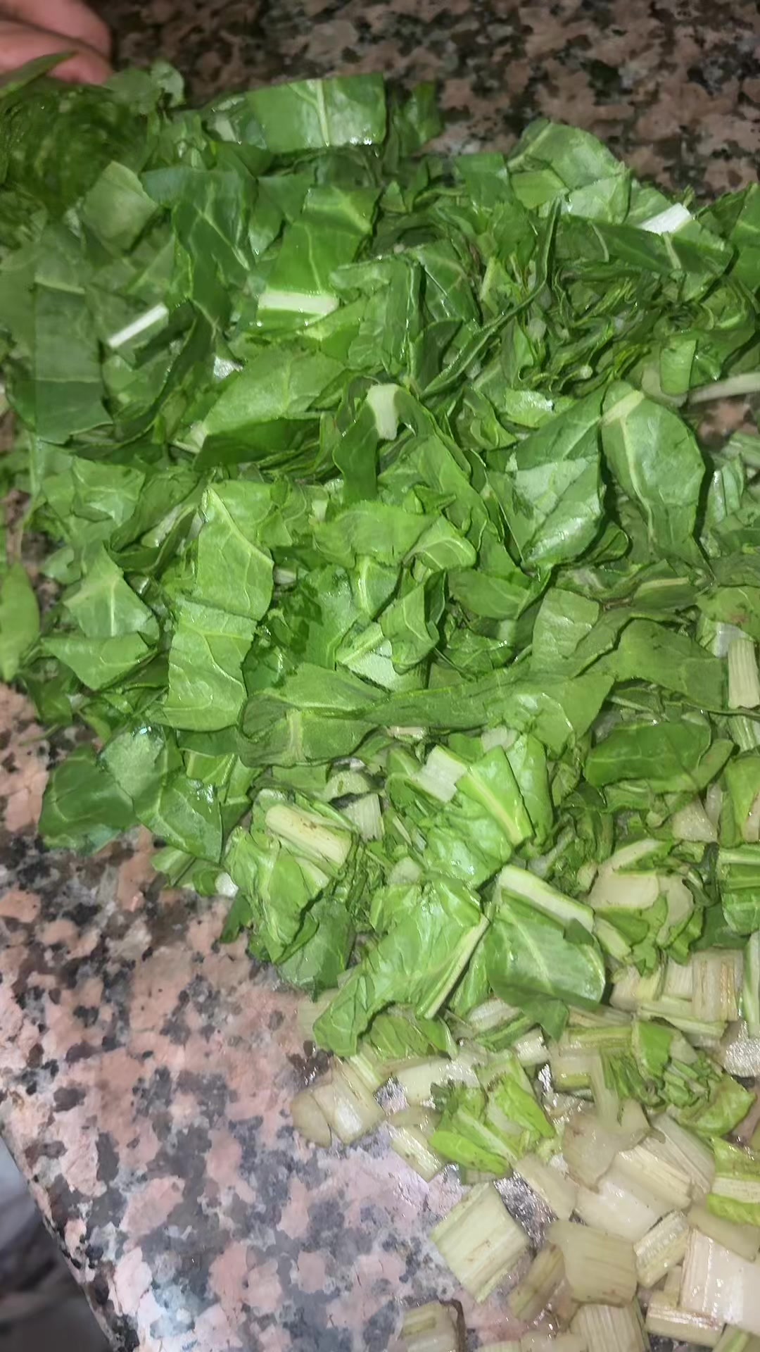 @Chief nasriina🧑🏻&zwj;🍳
