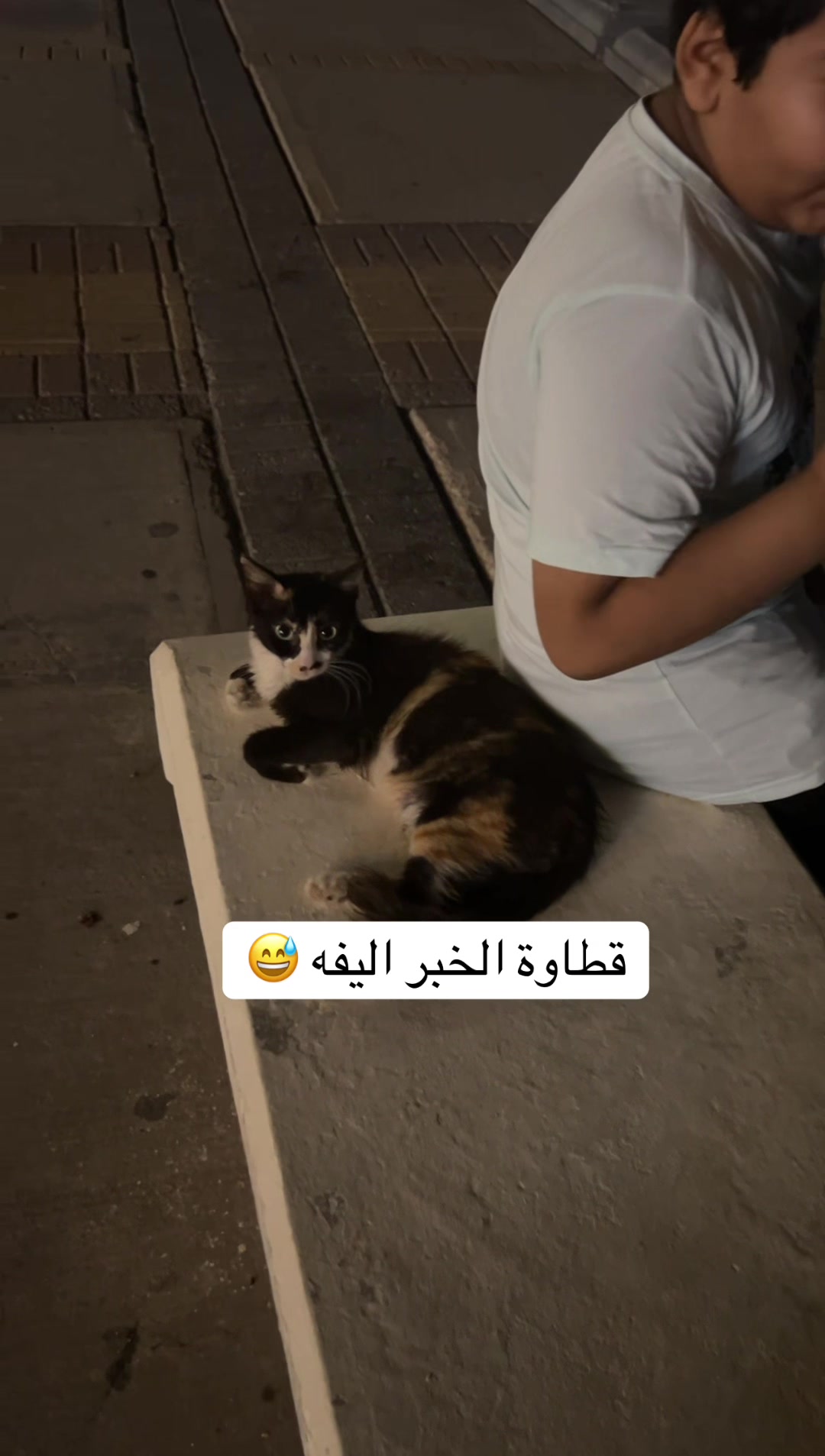 @عبدالله التميمي