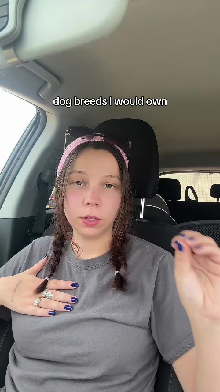 @Kayleigh + Dogs