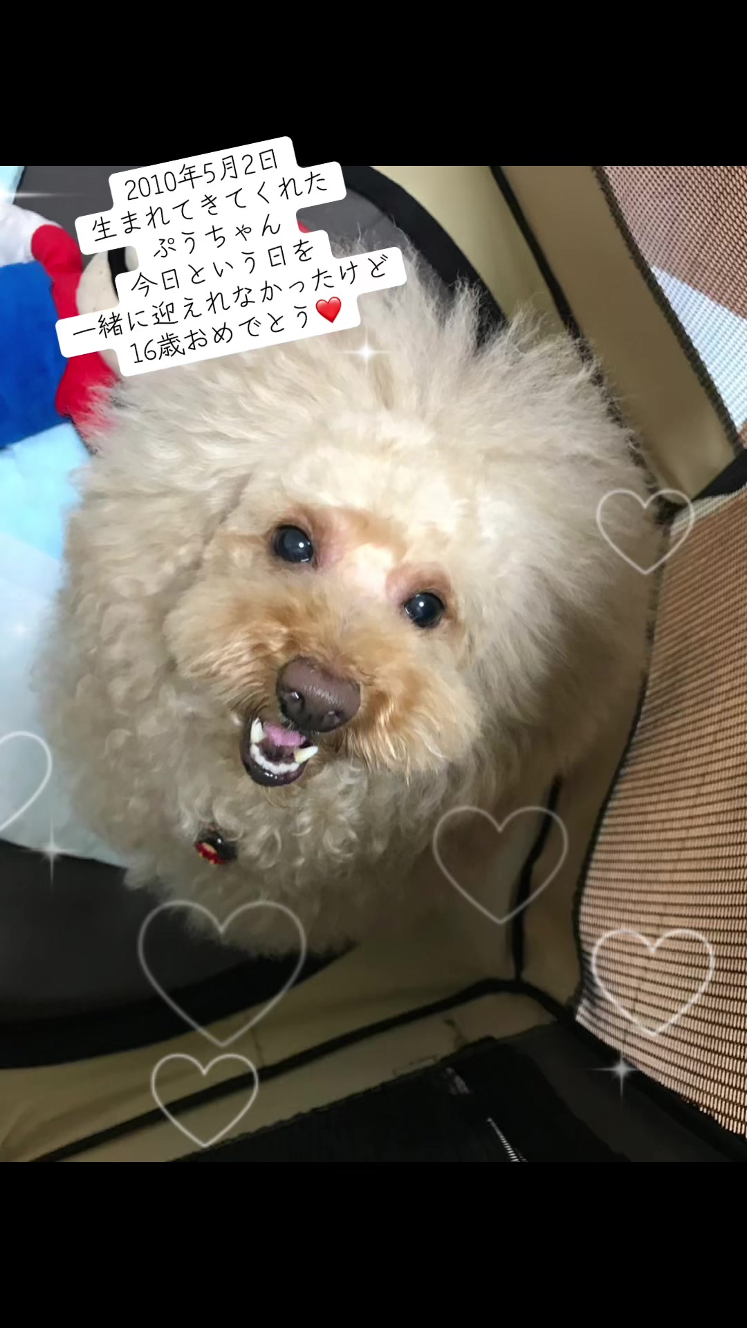 @ðð¥maimai0627ð¥ð