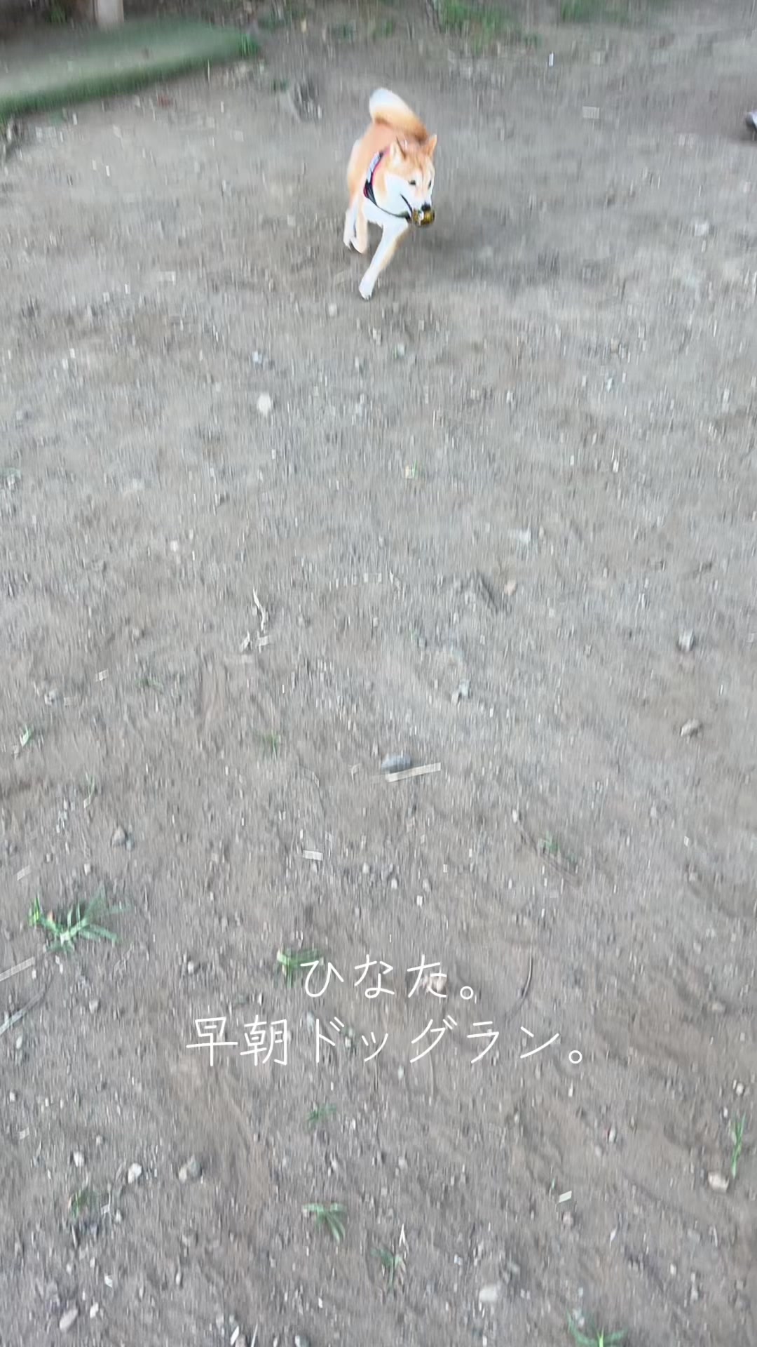 @ひでぽともぽ