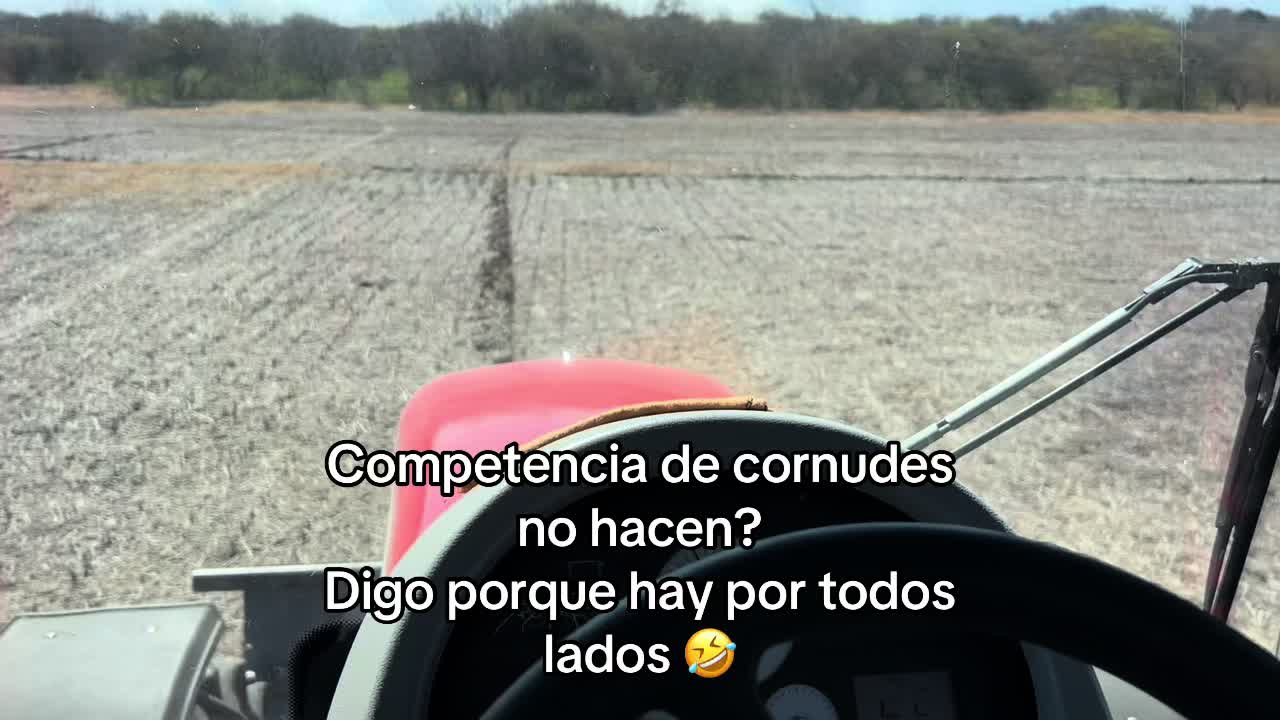 @leandrobuenas73 