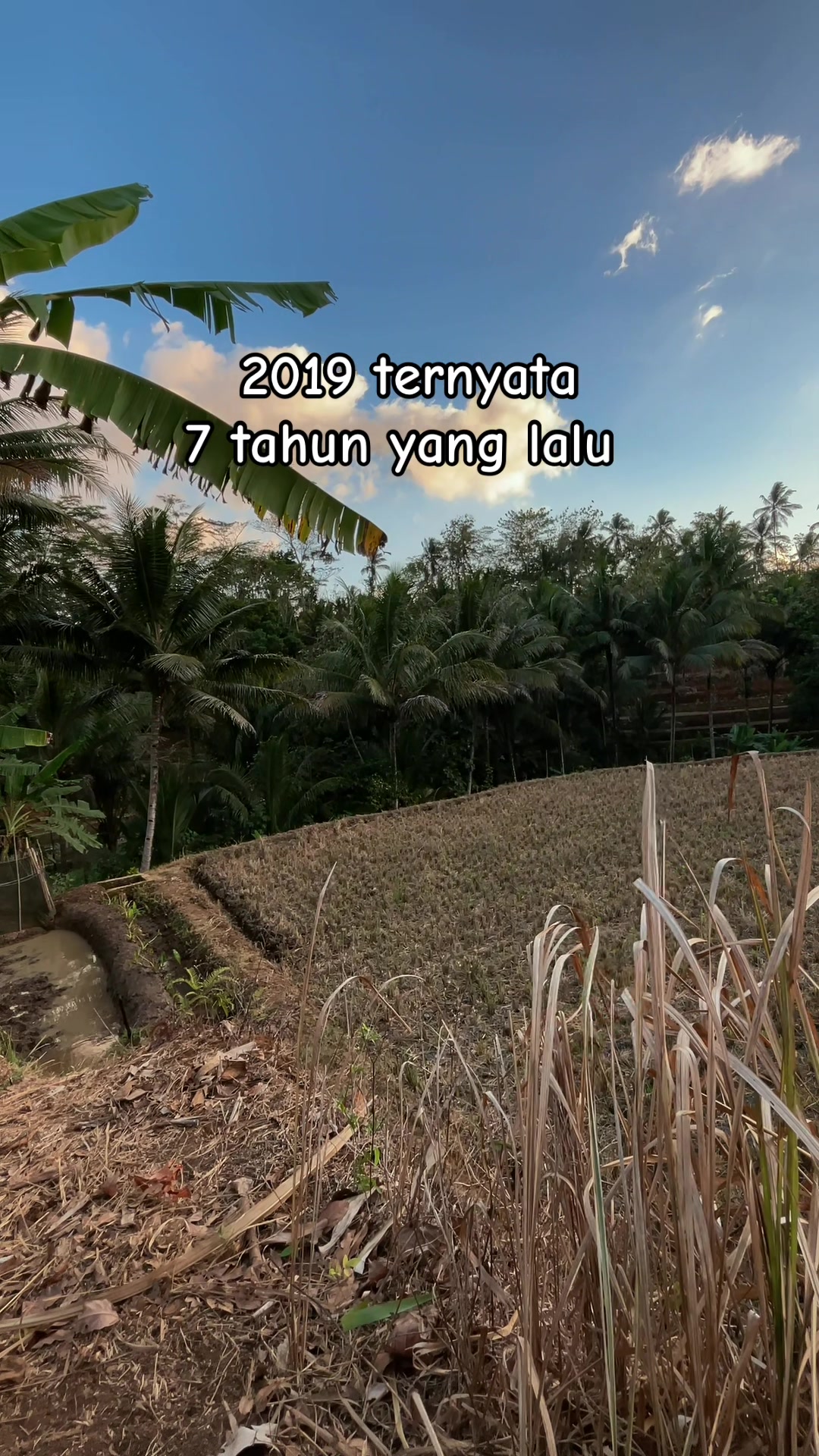 @Juni Haw