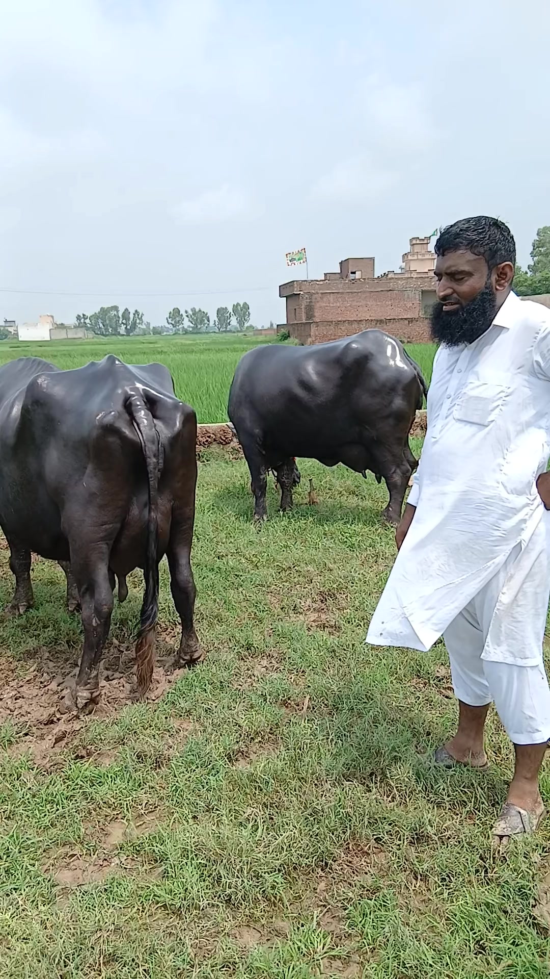 @Farming and Business Ideas