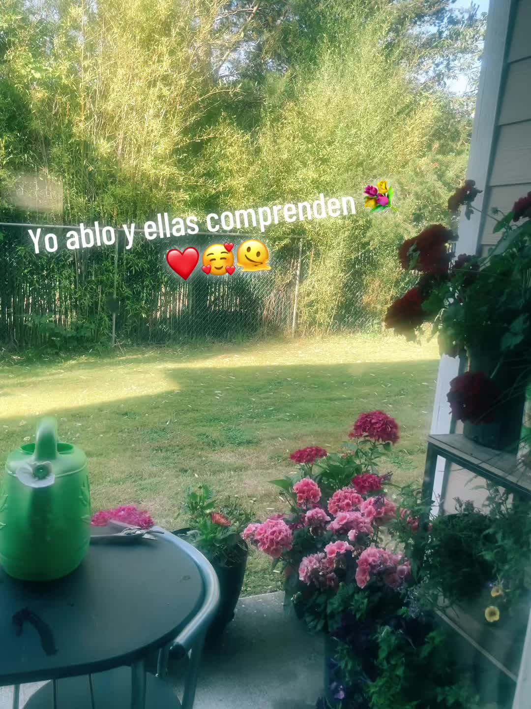 @Flor 🌺 valle💈🇭🇳