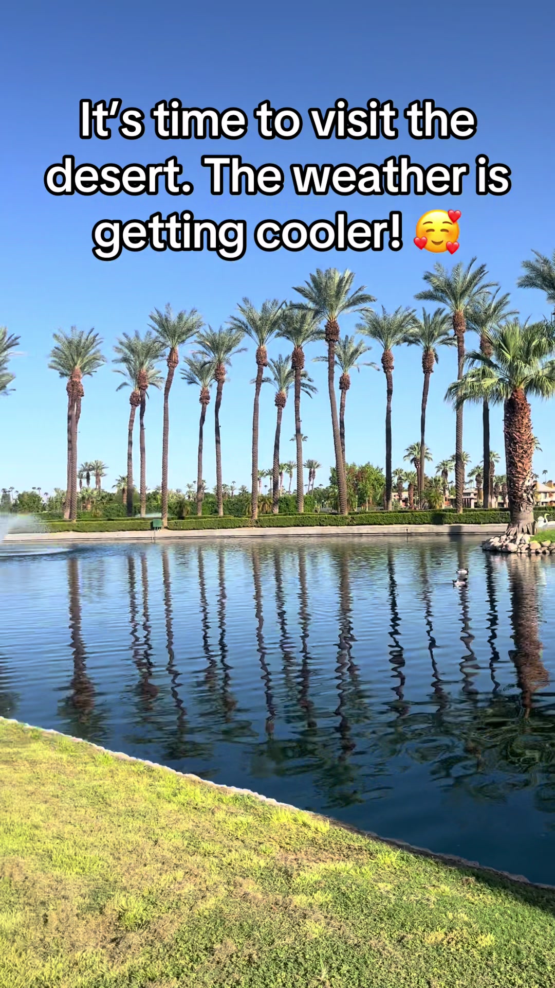 @✨🦋Glen_Totz🦋✨