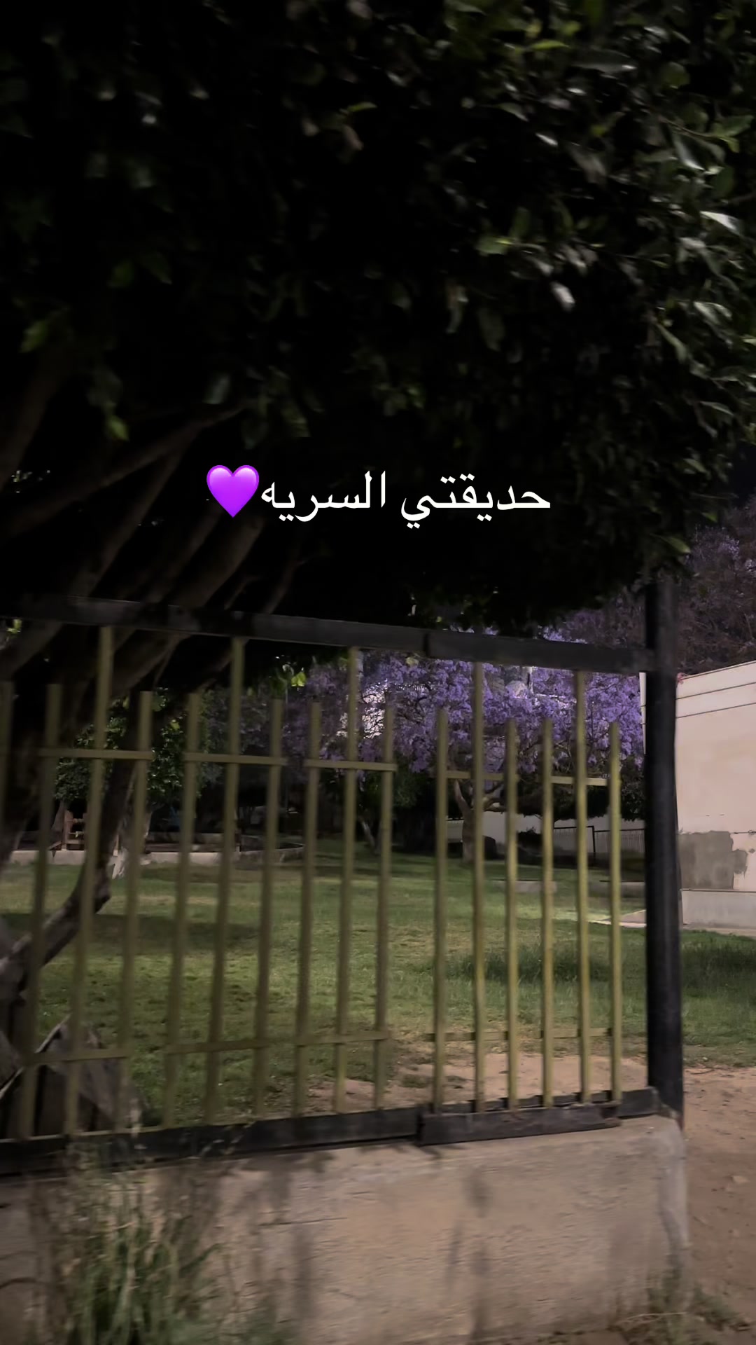 @Ahmed