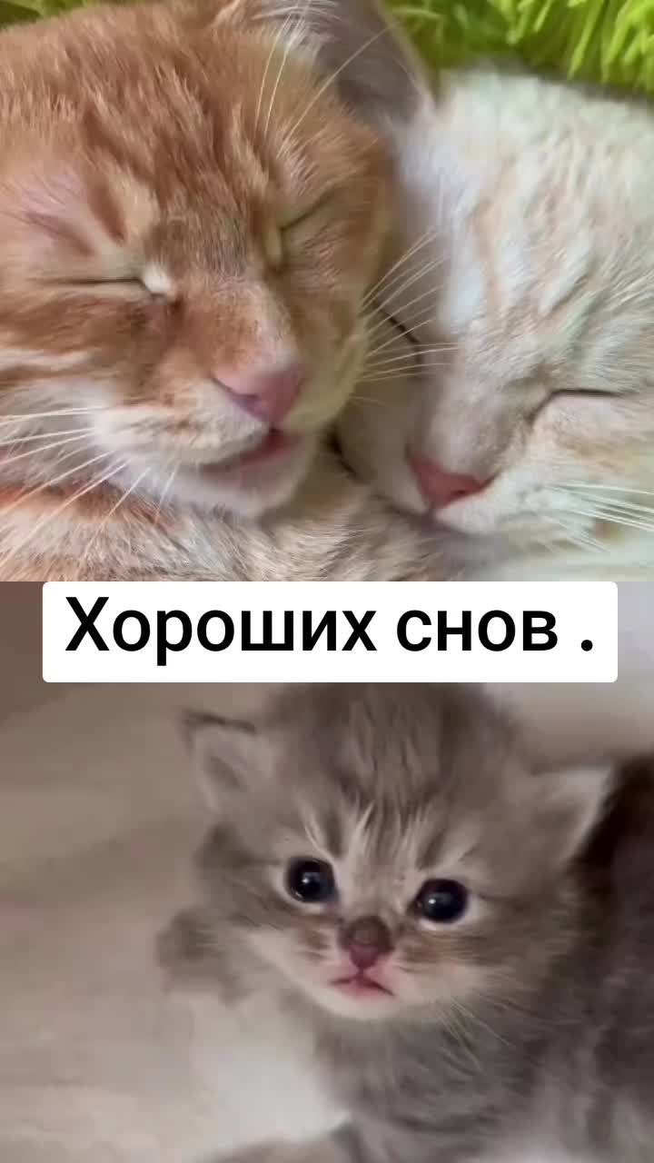@Художник👺
