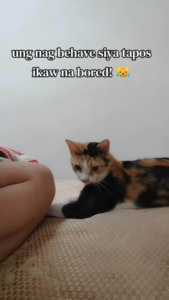 @𝑴𝒔.𝕁 𝖎&eta;꓄ꅐ